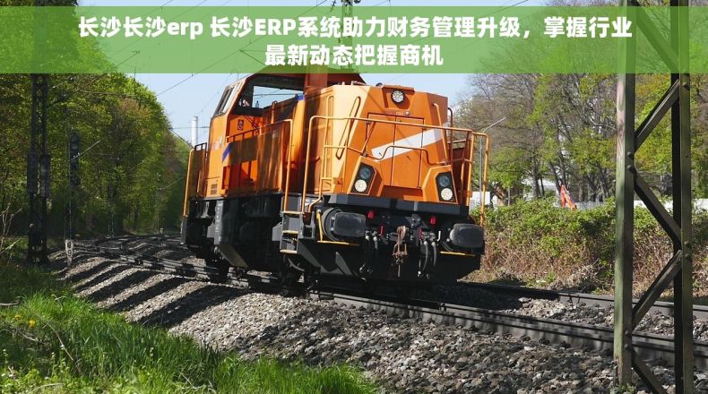 长沙长沙erp 长沙ERP系统助力财务管理升级，掌握行业最新动态把握商机