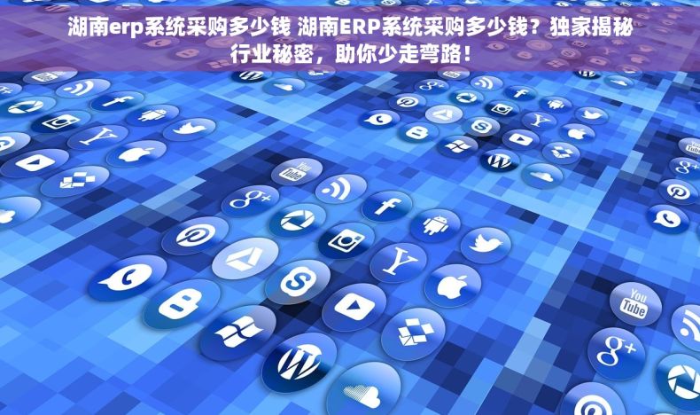 湖南erp系统采购多少钱 湖南ERP系统采购多少钱？独家揭秘行业秘密，助你少走弯路！