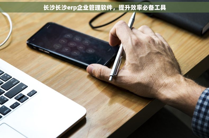 长沙长沙erp企业管理软件，提升效率必备工具