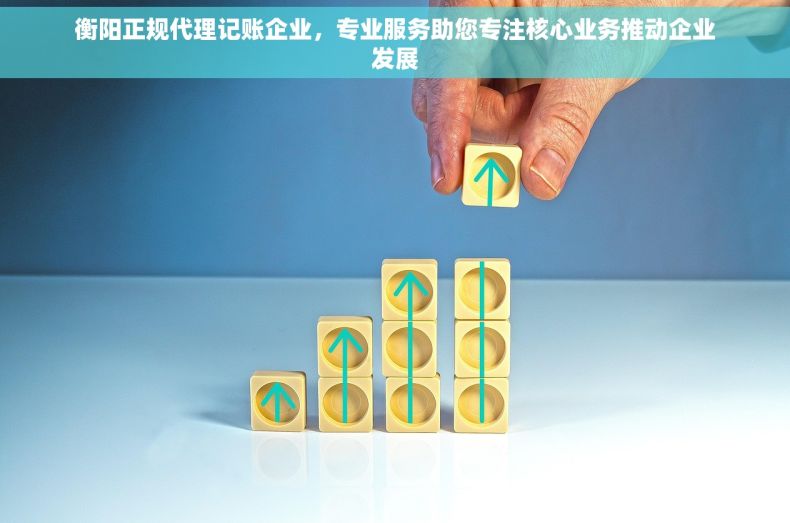 衡阳正规代理记账企业，专业服务助您专注核心业务推动企业发展