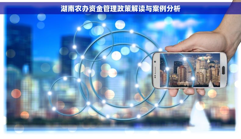 湖南农办资金管理政策解读与案例分析