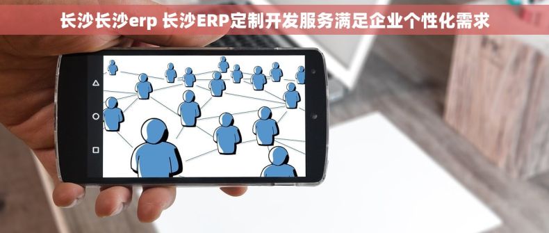 长沙长沙erp 长沙ERP定制开发服务满足企业个性化需求