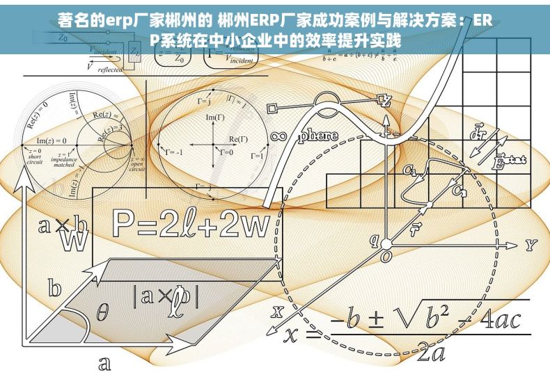 著名的erp厂家郴州的 郴州ERP厂家成功案例与解决方案：ERP系统在中小企业中的效率提升实践