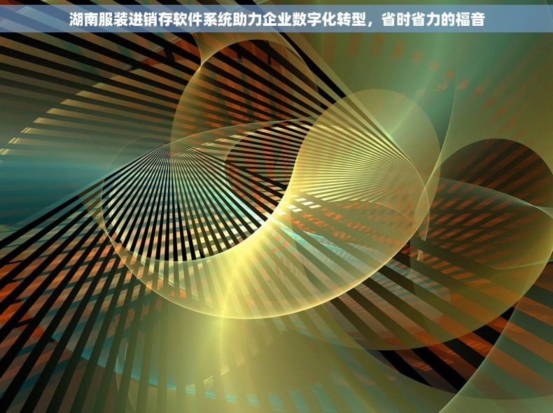 湖南服装进销存软件系统助力企业数字化转型，省时省力的福音