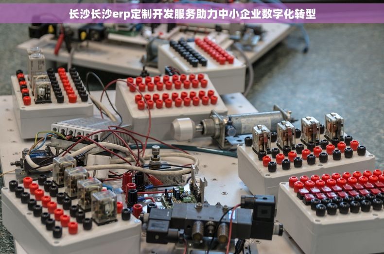 长沙长沙erp定制开发服务助力中小企业数字化转型
