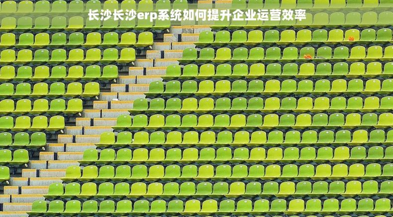 长沙长沙erp系统如何提升企业运营效率