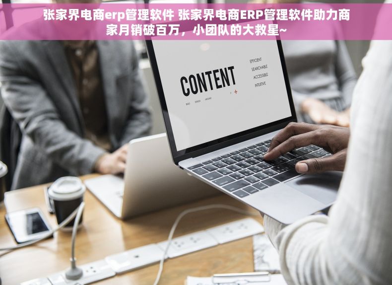 张家界电商erp管理软件 张家界电商ERP管理软件助力商家月销破百万，小团队的大救星~