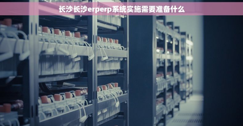 长沙长沙erperp系统实施需要准备什么