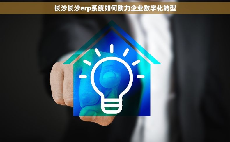 长沙长沙erp系统如何助力企业数字化转型