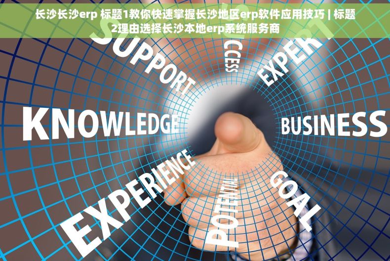 长沙长沙erp 标题1教你快速掌握长沙地区erp软件应用技巧 | 标题2理由选择长沙本地erp系统服务商