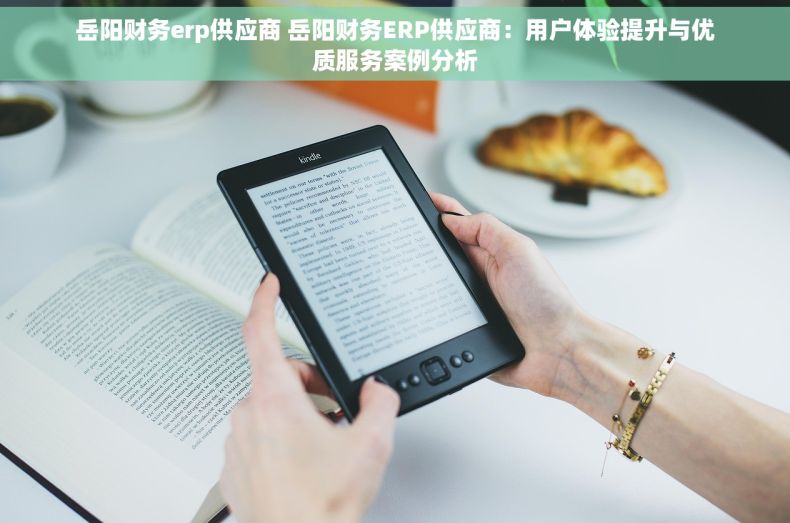 岳阳财务erp供应商 岳阳财务ERP供应商：用户体验提升与优质服务案例分析