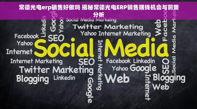 常德光电erp销售好做吗 揭秘常德光电ERP销售赚钱机会与前景分析