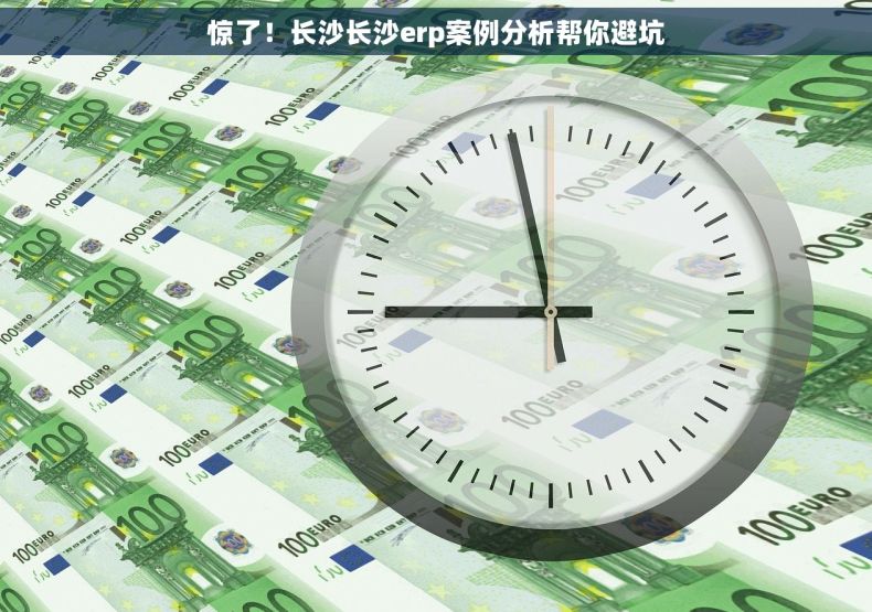 惊了！长沙长沙erp案例分析帮你避坑