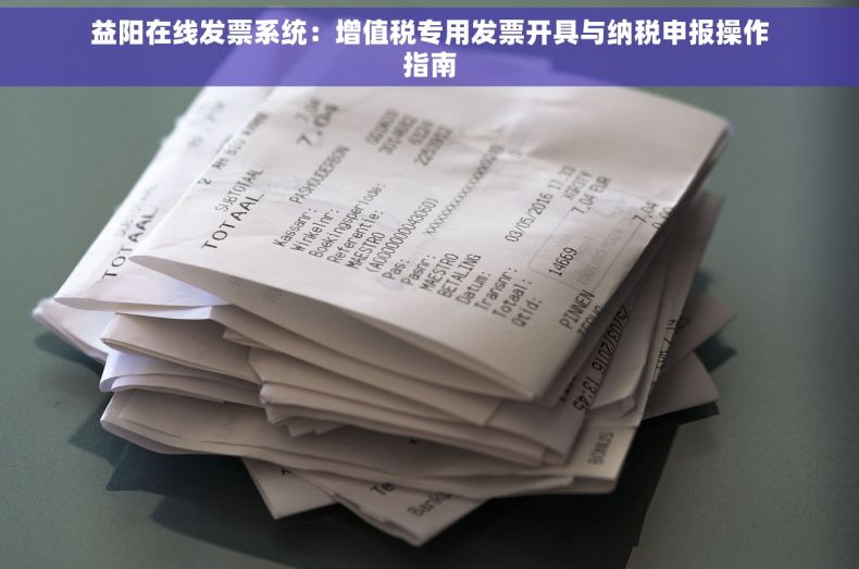 益阳在线发票系统：增值税专用发票开具与纳税申报操作指南