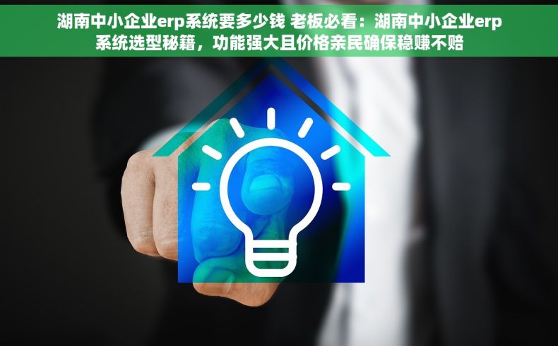湖南中小企业erp系统要多少钱 老板必看：湖南中小企业erp系统选型秘籍，功能强大且价格亲民确保稳赚不赔