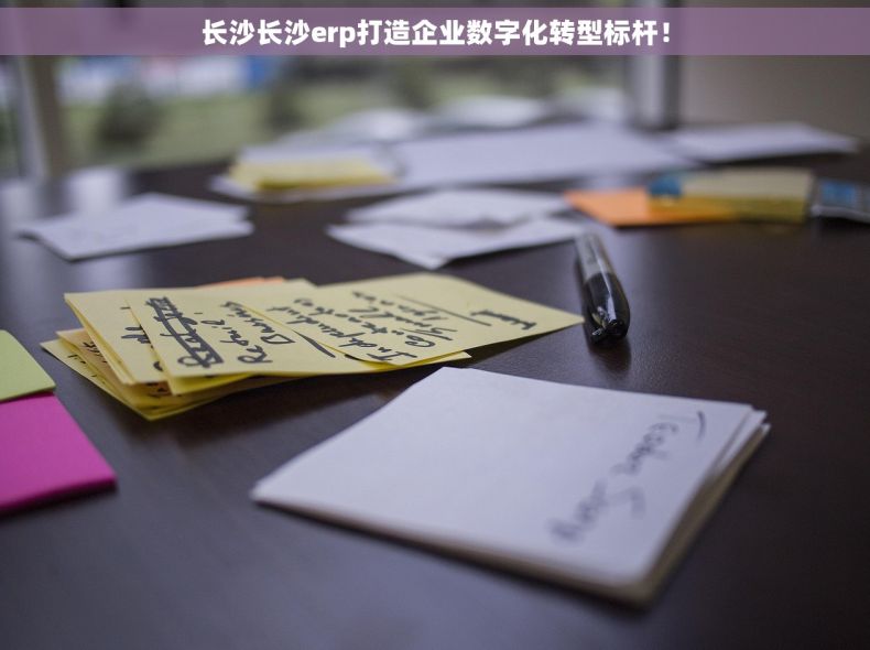 长沙长沙erp打造企业数字化转型标杆！