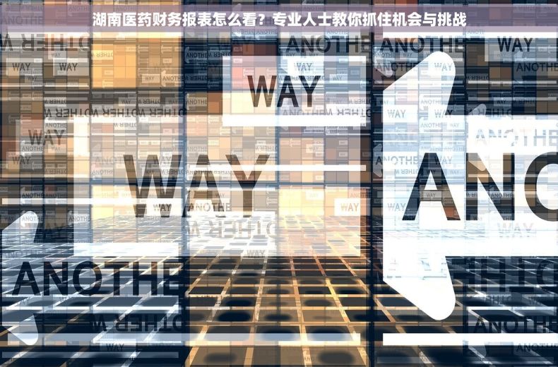 湖南医药财务报表怎么看？专业人士教你抓住机会与挑战