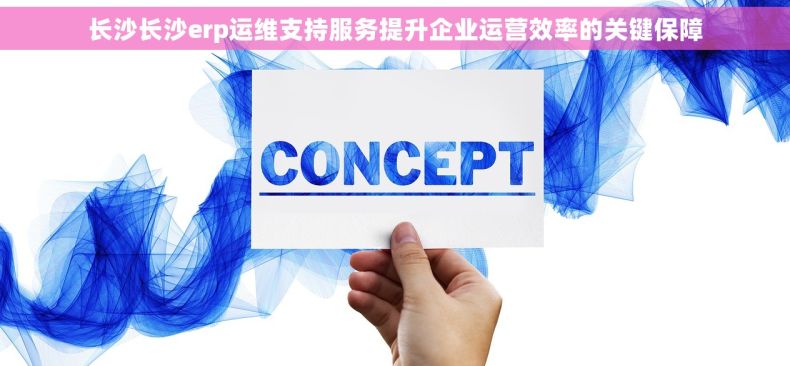 长沙长沙erp运维支持服务提升企业运营效率的关键保障