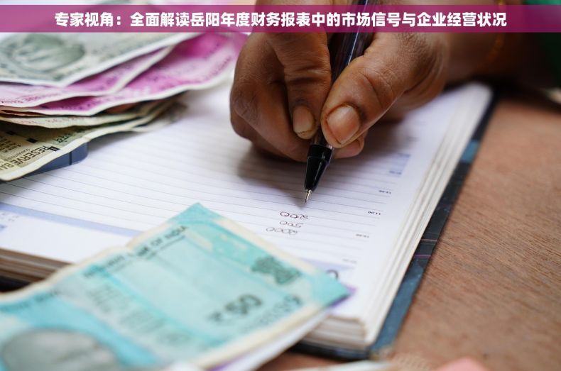 专家视角：全面解读岳阳年度财务报表中的市场信号与企业经营状况