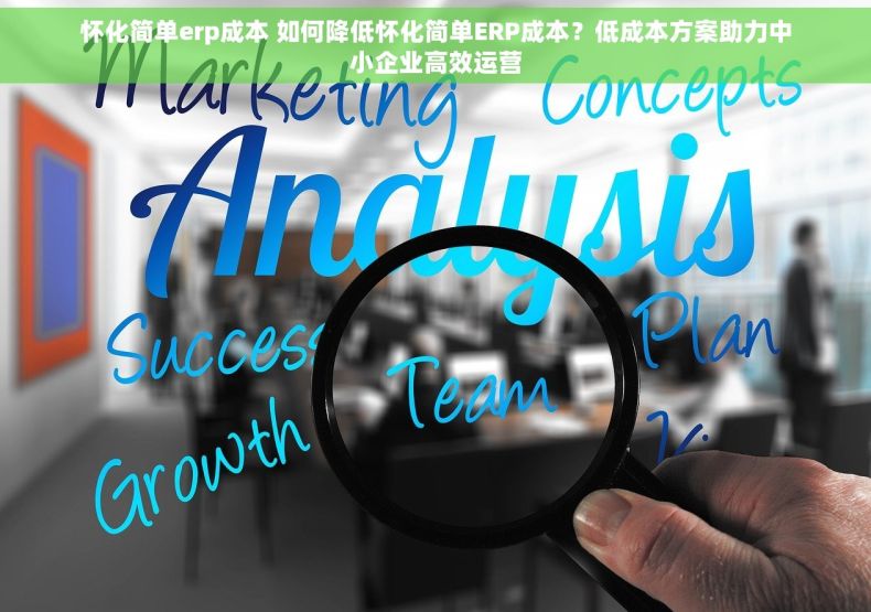 怀化简单erp成本 如何降低怀化简单ERP成本？低成本方案助力中小企业高效运营