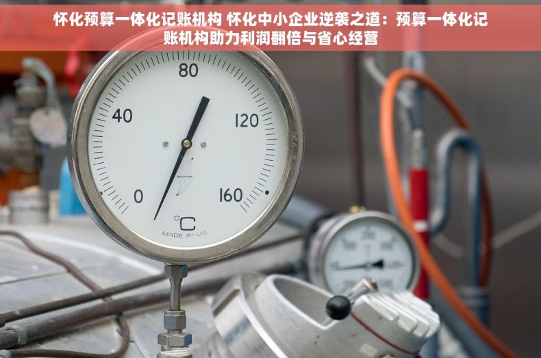 怀化预算一体化记账机构 怀化中小企业逆袭之道：预算一体化记账机构助力利润翻倍与省心经营