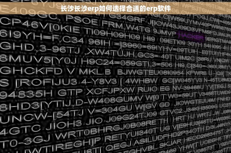 长沙长沙erp如何选择合适的erp软件