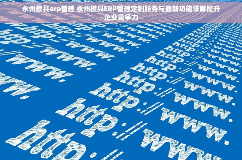 永州模具erp管理 永州模具ERP管理定制服务与最新功能详解提升企业竞争力