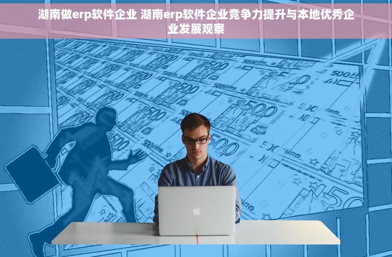 湖南做erp软件企业 湖南erp软件企业竞争力提升与本地优秀企业发展观察