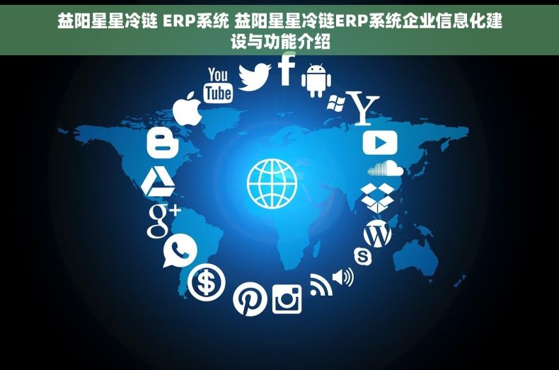 益阳星星冷链 ERP系统 益阳星星冷链ERP系统企业信息化建设与功能介绍