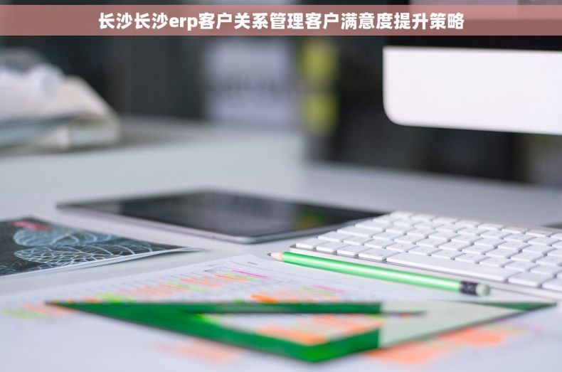 长沙长沙erp客户关系管理客户满意度提升策略