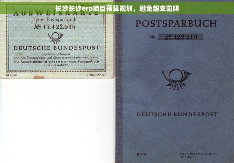 长沙长沙erp项目预算规划，避免超支陷阱