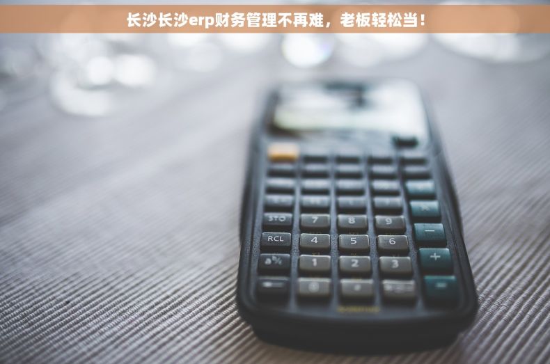 长沙长沙erp财务管理不再难，老板轻松当！