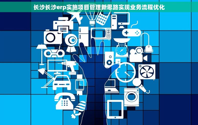 长沙长沙erp实施项目管理新思路实现业务流程优化