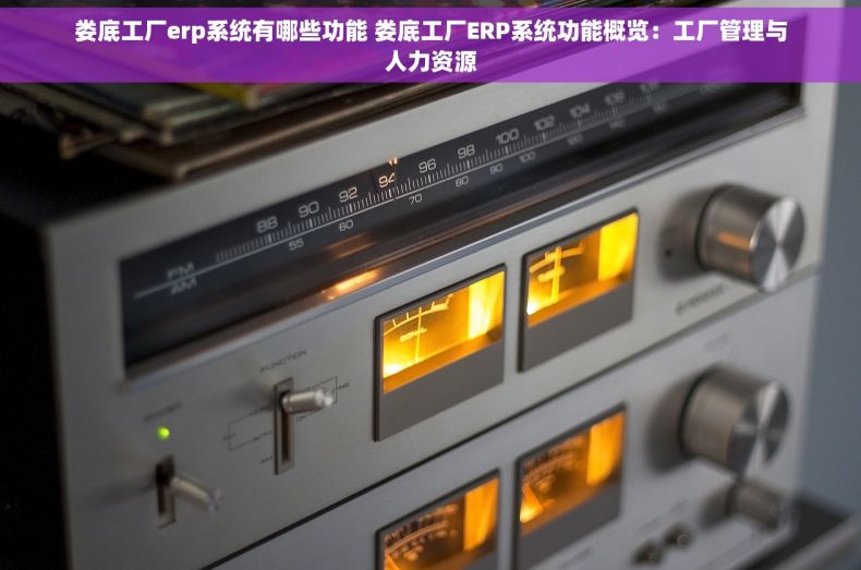 娄底工厂erp系统有哪些功能 娄底工厂ERP系统功能概览：工厂管理与人力资源