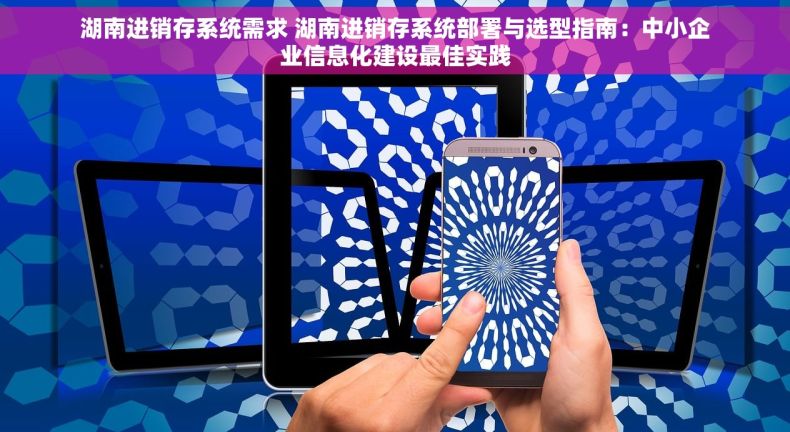 湖南进销存系统需求 湖南进销存系统部署与选型指南：中小企业信息化建设最佳实践