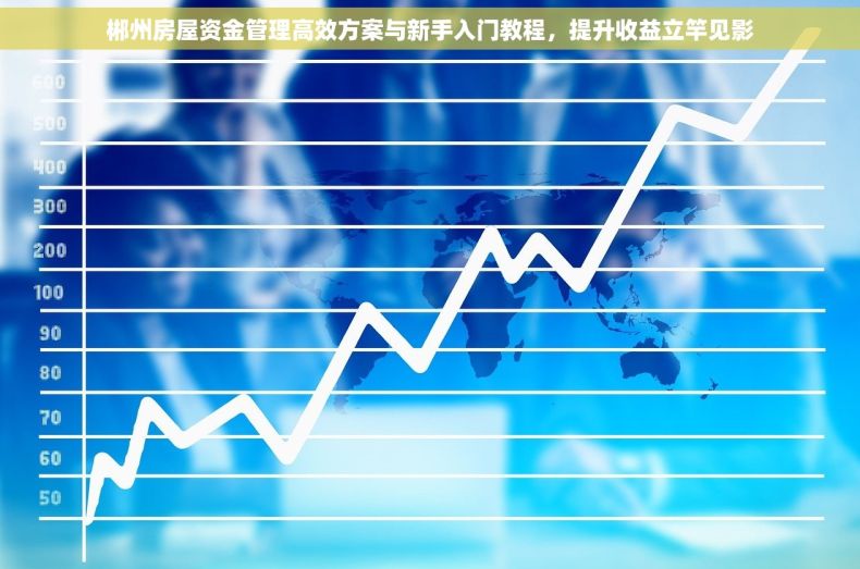 郴州房屋资金管理高效方案与新手入门教程，提升收益立竿见影