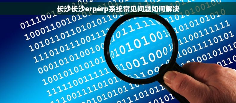 长沙长沙erperp系统常见问题如何解决