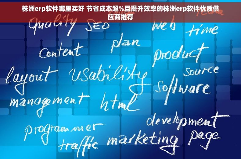 株洲erp软件哪里买好 节省成本超%且提升效率的株洲erp软件优质供应商推荐