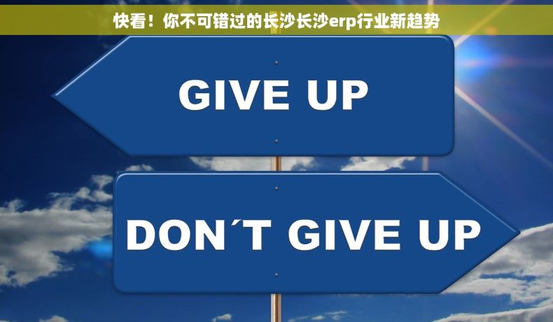 快看！你不可错过的长沙长沙erp行业新趋势