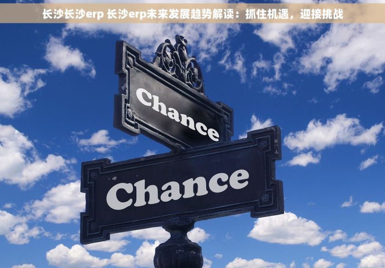 长沙长沙erp 长沙erp未来发展趋势解读：抓住机遇，迎接挑战