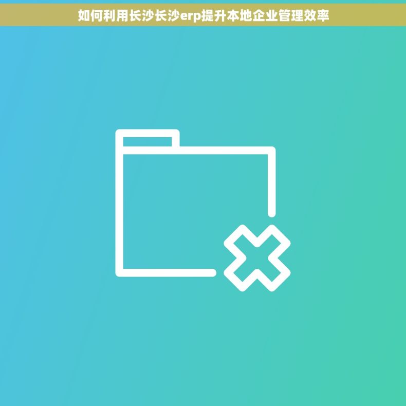 如何利用长沙长沙erp提升本地企业管理效率