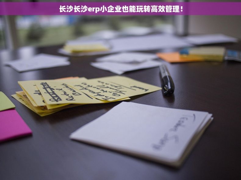 长沙长沙erp小企业也能玩转高效管理！