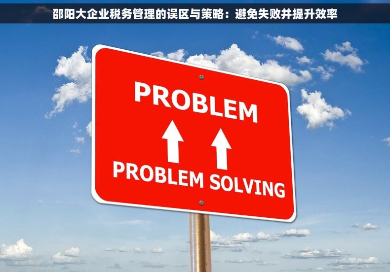 邵阳大企业税务管理的误区与策略：避免失败并提升效率