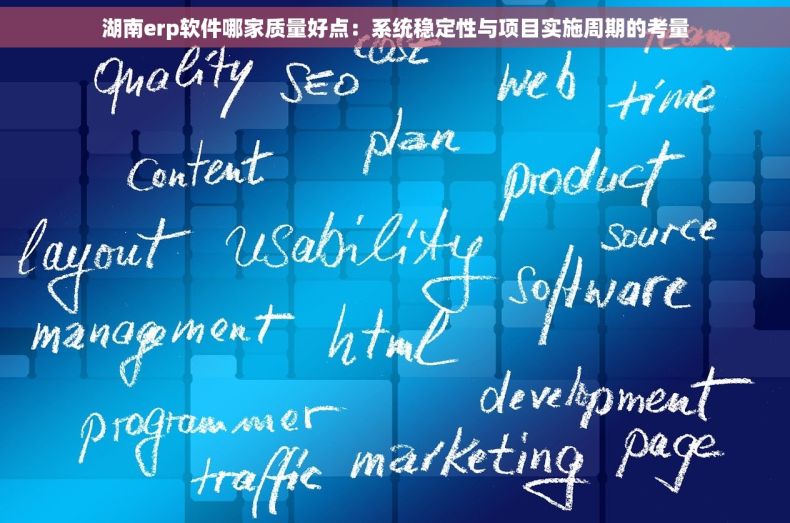 湖南erp软件哪家质量好点：系统稳定性与项目实施周期的考量