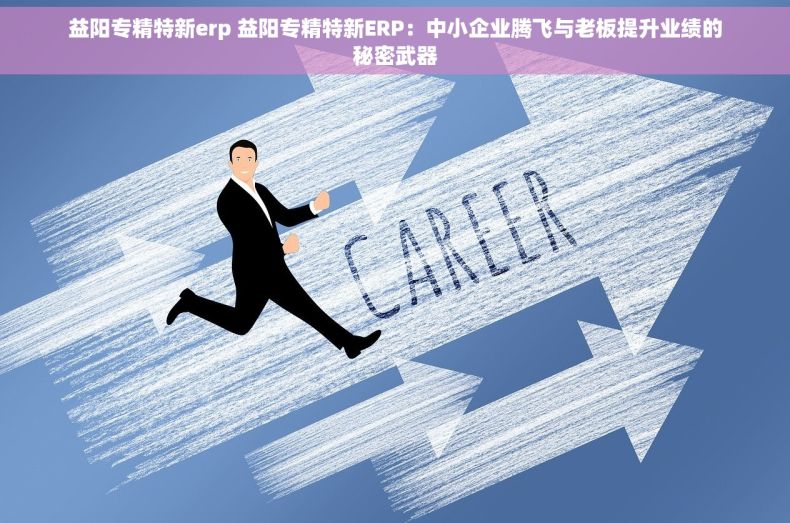 益阳专精特新erp 益阳专精特新ERP：中小企业腾飞与老板提升业绩的秘密武器