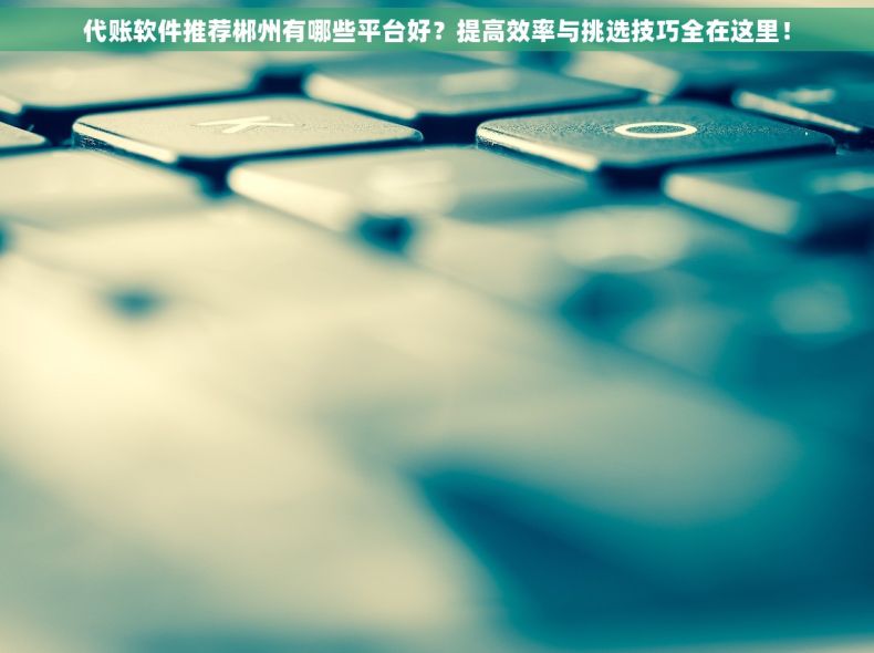 代账软件推荐郴州有哪些平台好？提高效率与挑选技巧全在这里！