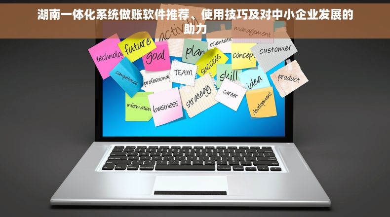 湖南一体化系统做账软件推荐、使用技巧及对中小企业发展的助力