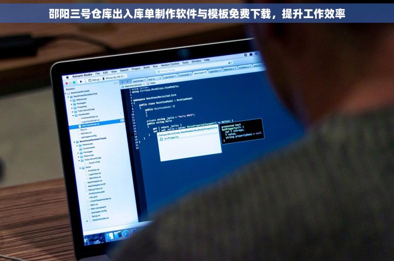 邵阳三号仓库出入库单制作软件与模板免费下载，提升工作效率