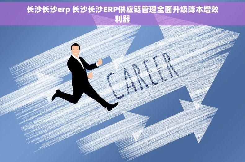 长沙长沙erp 长沙长沙ERP供应链管理全面升级降本增效利器