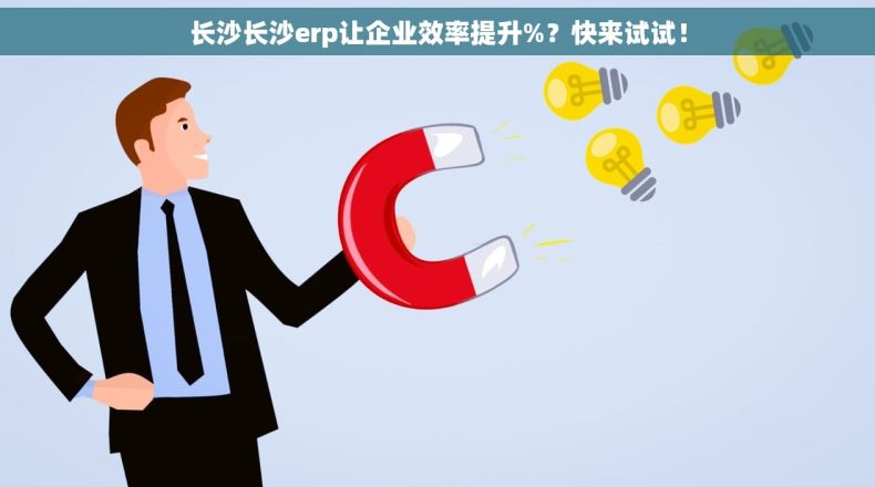 长沙长沙erp让企业效率提升%？快来试试！